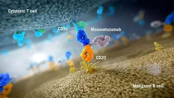 罗氏CD20xCD3双抗mosunetuzumab获得FDA突破性疗法认定