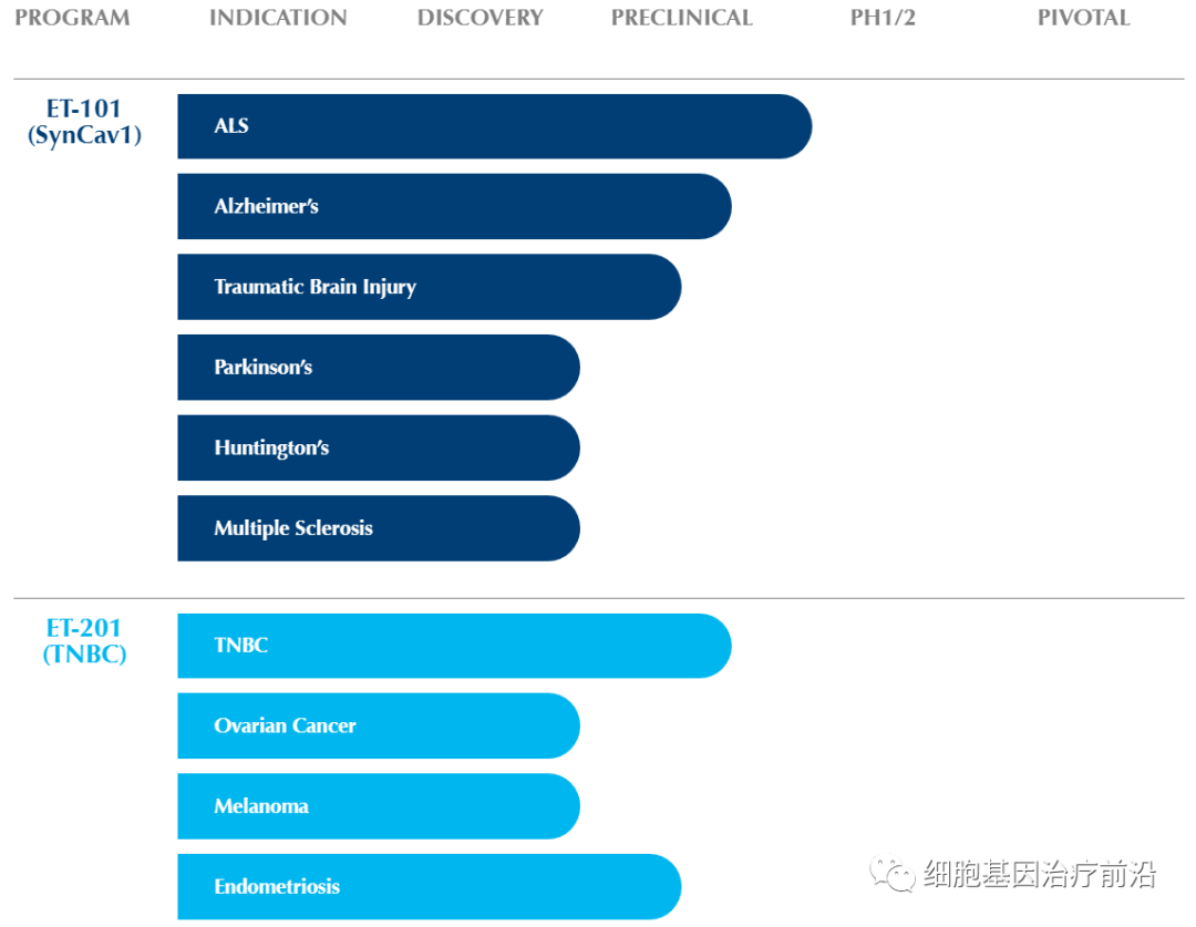 Eikonoklastes基因疗法获得孤儿药认定，，，，，有望治疗渐冻症